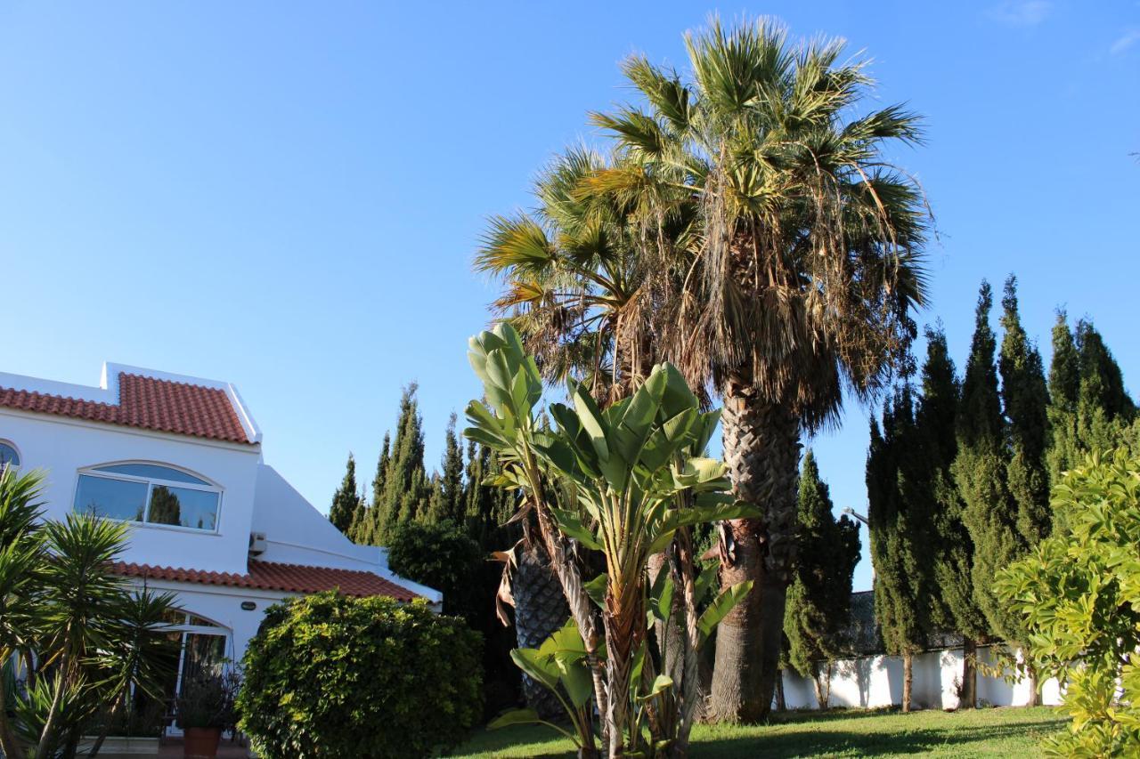 Casa Carioca Carvoeiro Bed and Breakfast Carvoeiro  Exterior foto